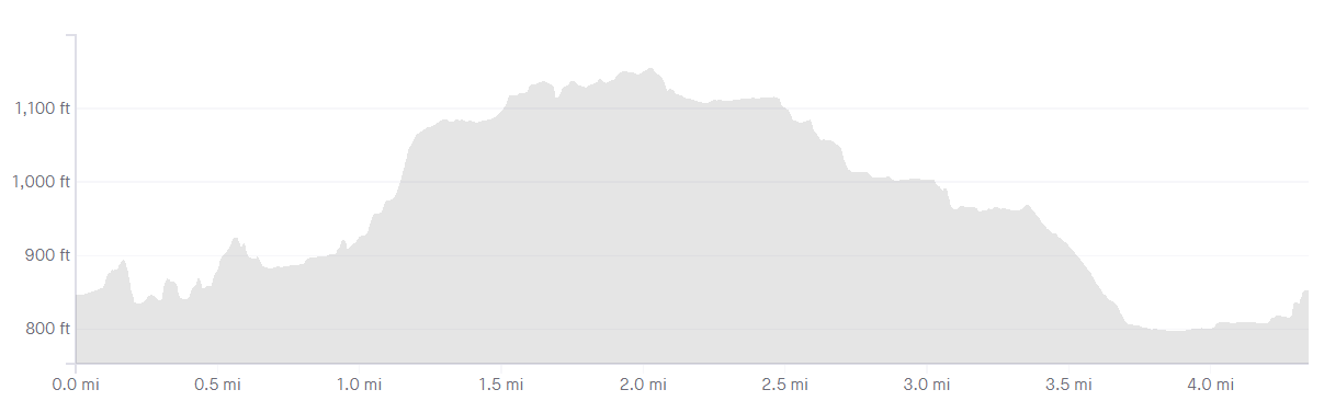 TEA TABLES TO LOWER FALLS